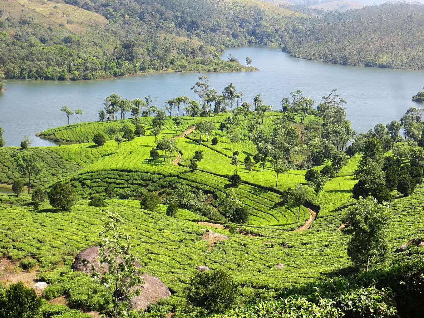 <a href="https://noroindia.ir/tours/nature-tourism/details-kerala-tour">تور کرالا هندوستان | سفر ۷ روزه و ۶  شب به کشور خدایان</a>